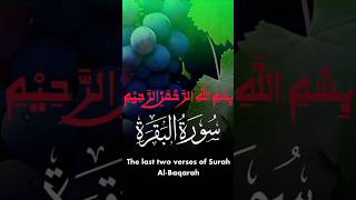 Last 2 Ayat Surah Baqarah Beautiful Recitation [upl. by Adnuhsor]