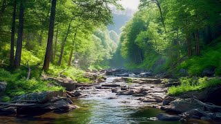 Музыка лечит сердце и сосуды🌿 Успокаивающая музыка восстанавливает нервную системурасслабляющая 4 [upl. by Katharina686]