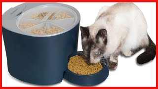 PetSafe 6 Meal Programmable Pet Food Dispenser Automatic Dog and Cat Feeder [upl. by Solram]