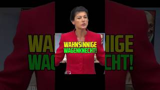 Wahnsinnige Wagenknecht wagenknecht [upl. by Maupin795]