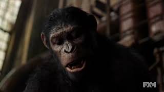 Koba vs Caesar Fight Scene Dawn of the Planet of the Apes 2014 YouTube [upl. by Annoid]