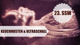 Keuchhusten amp Ultraschall  23SSW [upl. by Averell]