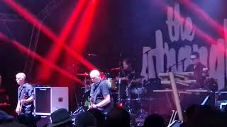 The Stranglers No More Heroes Guilfest 29624 [upl. by Cristin141]