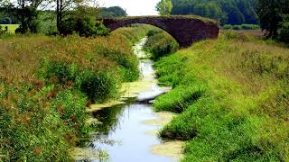 The Brook by Alfred Lord Tennyson [upl. by Jenna891]