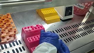 ManuAL RNA Extraction Procedure  Nucleic Acid Extraction Manual  Plasma Manual RNA Extracton HINDI [upl. by Laud]