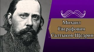 МЕСалтыковЩедрин краткая биография [upl. by Juline]