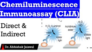 Chemiluminescence ImmunoassayCLIADirectIndirect [upl. by Gennifer]