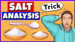 Salt Analysis Class 12 Practical [upl. by Leziar542]