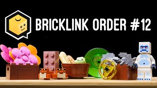 Bricklink Order 12  Surprise Froggo [upl. by Akinor626]