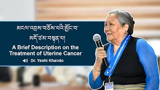 A Brief Description on the Treatment of Uterine Cancer [upl. by Kerrin847]