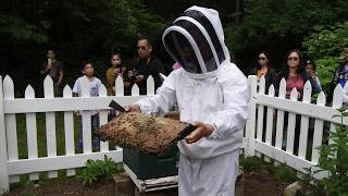 Honeybee Centres beekeeping demo  Historic Stewart Farm Surrey BC Canada [upl. by Ykciv]