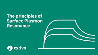 Principles of surface plasmon resonance SPR used in Biacore™ systems  Cytiva [upl. by Anytsirhc]