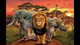 The animal kingdoms formation attributed to the errors of quotCopy Pastequot in evolutions recipe book [upl. by Analli]