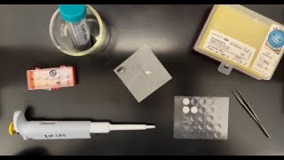 Preparing a Sample for SEM Analysis that is Dispersed in a Liquid [upl. by Ociral801]