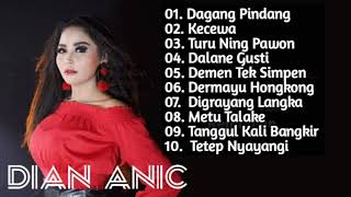 Dagang Pindang Dian Anic  Full Album Terpopuler Tahun 2020  Anica Lovers [upl. by Ariec]