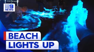 Beach glows as bioluminescent algae shows up in SA  9 News Australia [upl. by Kezer]