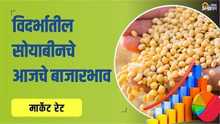 विदर्भातील soybean market rate today काय आहेत  Soyabean Rate Today  ॲग्रोवन [upl. by Llenrep]