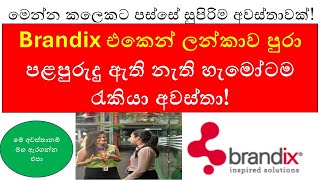 Brandix Job Vacancies 2024 The ULTIMATE Guide to Landing Your Dream Job in Sri Lanka [upl. by Ramhaj]