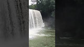 KRANG SURI WATER FALLindia travel life nature mountains cake water river bollywood best [upl. by Wait]