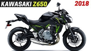 NEW 2018 Kawasaki Z650  Redesign With New Color and Variant [upl. by Tehc584]