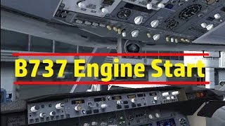 FSX Boeing 737800 Startup Procedures and Departure [upl. by Irb]