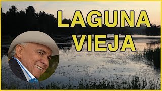 Laguna Vieja  Reynaldo Armas letra HD [upl. by Idram]