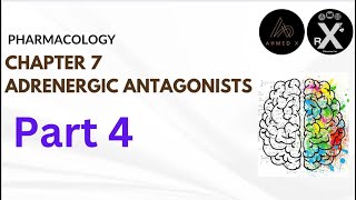 Pharmacology  adrenergic antagonist part 4 المنهج الوزاريّ الموحد [upl. by Jona]