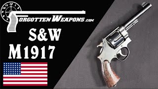 SampW M1917 A US Army revolver in 45 ACP [upl. by Meggi]