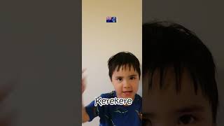 Leo learning Cook Islands Maori Black  Kerekere leodavidlearning cookislands [upl. by Westbrook]