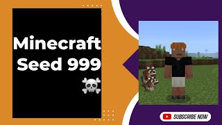 EPISODE 1 Seed 999 in Minecraft [upl. by Waal]