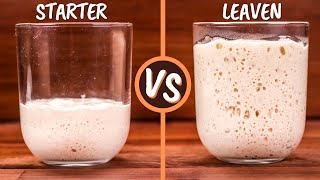 Sourdough Starter and Leaven Explained  Are They The Same Thing [upl. by Schindler]