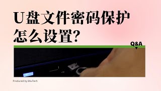 U盤文件密碼保護怎麼設置？ [upl. by Jean-Claude]