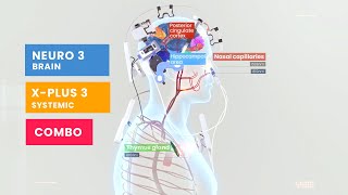 Vielight Neuro Duo  X Plus BrainSystemic Photobiomodulation System [upl. by Ijar]