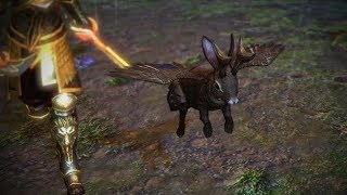 Path of Exile Squeaking Wolpertinger Pet [upl. by Pubilis]