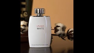 LALIQUE WHITE 2008مراجعة عطر لالــيــك وايـــت الابيض [upl. by Linnet937]