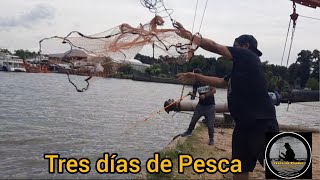 3 Días de Pesca Sabalitos con Atarraya [upl. by Rudelson]