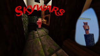 Skywars pig n shtass [upl. by Les972]