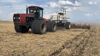 Case 9150 and Bourgault 5700 seeding canola [upl. by Faydra]