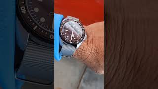 Elivia by MWC watches militarywatch milspecwatchgroupcom divewatch silverado jreclips [upl. by Hasseman]