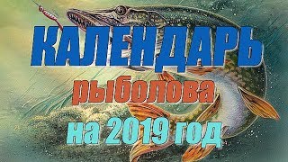 Календарь рыболова на 2019 год [upl. by Foley]