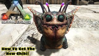 How To Get The New Chibi Noglin Pet Ark Survival Evolved TLC 3 [upl. by Airel502]