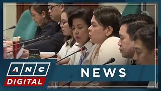 PH Minority Senators scrutinize OVPs P500M confidential fund in proposed 2024 budget  ANC [upl. by Waneta349]