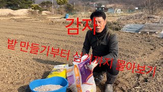 감자밭만들기부터 심기까지 몰아서 보기 [upl. by Giffie]