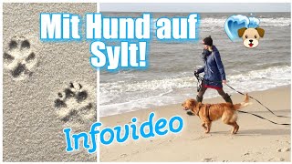 Mit HUND auf SYLT  Infovideo [upl. by Aerua]