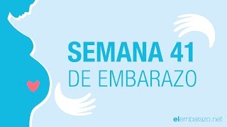 Semana 41 de embarazo  41 semanas de embarazo  El embarazo semana a semana [upl. by Thorner393]