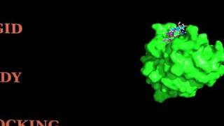 Proteinoligosaccharide HADDOCKing [upl. by Nilatak]