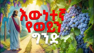 የቅዱስ ገብርኤል በዓል መዝሙሮች ስብስብ St Gebriel Mezmur CollectionM4A 128K [upl. by Campos]