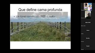 INFERTILIDAD DE LAS CERDAS  CAMA PROFUNDA  ALTERNATIVAS DE BAJO COSTO SEGUNDA PARTE [upl. by Mellar]