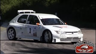 Rallye des Routes du Lyonnais 2018 MISTAKES [upl. by Cass]