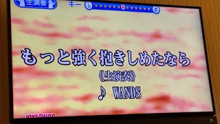 【もっと強く抱きしめたなら WANDS】一般男性が原曲キーで歌ってみた。 [upl. by Nilson]